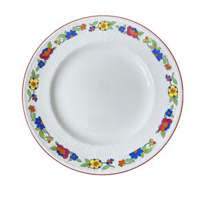 Myott & Sons The Orient Bright Flower Pattern 10 Inch Dinner Plate England 1844‎